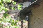 Casa de vanzare 107 mp, teren 2065 mp, acces asfalt - 4