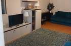 Apartament cu 3 camere decomandat în Olteni - 11