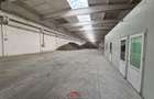Hale noi in Baicoi, Ph--13.000mp--3e - 13