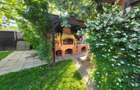 CASA P+1 ÎN BALOȚEȘTI – LÂNGĂ PĂDURE, TEREN 700 MP, LIVADĂ, CRAMĂ, BECI ȘI CURTE - 20