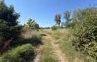 Teren de vanzare, certificat urbanism, 6.325 mp, zona Lapus Arges