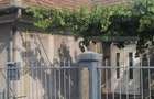 Casa cu 2 camere curte si gradina
