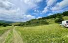Teren agricol de 14500 mp, în Săvădisla - 4