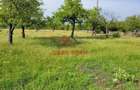 Teren intravilan in Campina, 1490mp--26.820e - 10