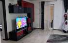 Cartier Europa - Duplex 5 camere - mobilat utilat - 15