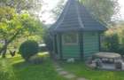 Vand teren 0,75 ha in Bazna cu doua case, o casuta, anexe... Ideal pentru camping, Airbnb, pensiune - 4