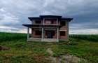 Casă individuală cu 6 camere cu Teren 7400 Mp în Borlești - 2