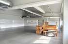 Spatiu industrial 700 mp de inchiriat in zona Oncea Oradea - 6