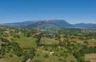 Teren intravilan de 5495 mp, în Bran - 1