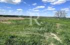 Teren intravilan | Le? | Bihor - 2