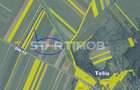 Teren agricol extravilan de 10200 mp, în Teliu - 5