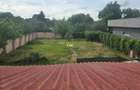 Casă cu Teren 1046 Mp în Dumbrăvița - 3