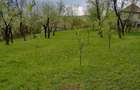 Teren intravilan de 1357 mp, în Tălii - 2