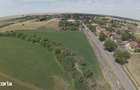 Teren intravilan Zadareni-Bodrogul Nou 8000mp / 141m front - Sosea - 1