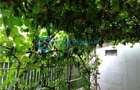 Royal Imobiliare - Vanzare Casa Zona Cantacuzino - 4