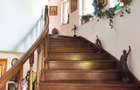 Vila 6 camere-teren 1800mp-Snagov Izvorani-lac - 1
