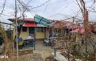Casa modernizata, baie, centrala, 5593mp teren - Merei Ograzi - 1