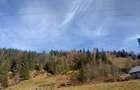 Oportunitate Unica: Domeniu Montan de 2.4 Hectare cu Casa Ideal Turism, camping sau Rezidenta