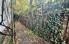 A 1670 De vanzare casa singur in curte in Tg Mure? - Balcescu - 8