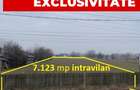 Teren de vanzare 7.123 mp intravilan, Buhusi - 1