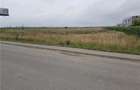 Teren de vanzare autostrada - 3