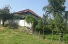 Casa batraneasca+teren de vanzare in sat Radosi,comuna Crasna,judetul Gorj - 3