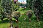 Apartament cu 3 camere decomandat în Nord - 20