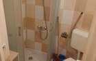 Apartement 2 camere de inchiriat zona Intim - 8
