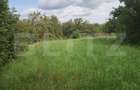 Teren Construcții intravilan de 2861 mp, în Tureni - 4