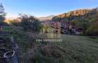 Teren Construcții de 2900 mp, în Dârste - 3