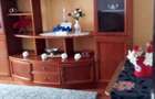 Apartament de Inchiriat cu 2 Cam | Suceava, Obcini | 350euro/luna - 6