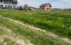 Loturi teren 400 mp Buftea - Darza - 3