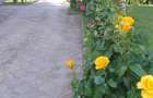 Sanandrei - Central - Duplex 5 Camere - 4