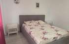 Apartamente 2 camere de vanzare - 5