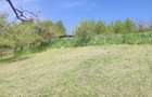 Teren pentru investitie in Sarata Bai Bacau 4430mp - 7