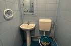 Apartament cu 3 camere decomandat în Giurgiului - 13