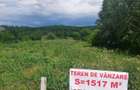Curtisoara teren intravilan 1517 mp la strada principala, pret excelent - 1