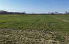 Teren de 4000 mp, în Mărtinești - 3