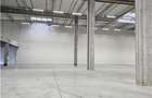 Spatiu Industrial - 7500 mp - Logistica - Productie - Depozitare - Distributie - 2