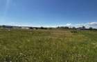 Teren agricol de vanzare, 400 mp, zona lini?tita - 6