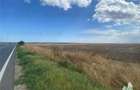 Teren Construcții intravilan de 24250 mp, în Mihail Kogălniceanu - 2
