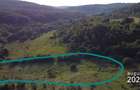 Vand teren extravilan in sat Micesti - 4