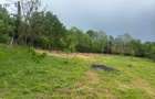 Teren Construcții intravilan de 1050 mp, în Petrovaselo - 2