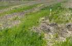 Loturi teren 400 mp Buftea - Darza - 1