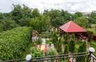 Casă individuală cu 6 camere cu Canalizare în Ungureni - 8