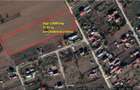 Teren agricol extravilan de 13000 mp, în Moara Vlăsiei - 1
