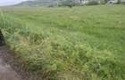 Vand teren intravilan - 2