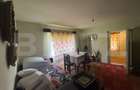 Casă individuală cu 2 camere cu Teren 4431 Mp în Periferie - 2