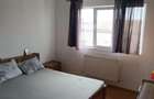 Apartament cu 2 camere decomandat în Timișoara - 5