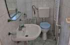 Proprietate cu 2 imobile,teren 1.202 mp,Bacia-jud.Hunedoara - 10